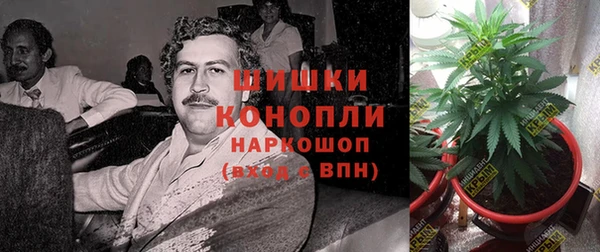 спайс Пестово